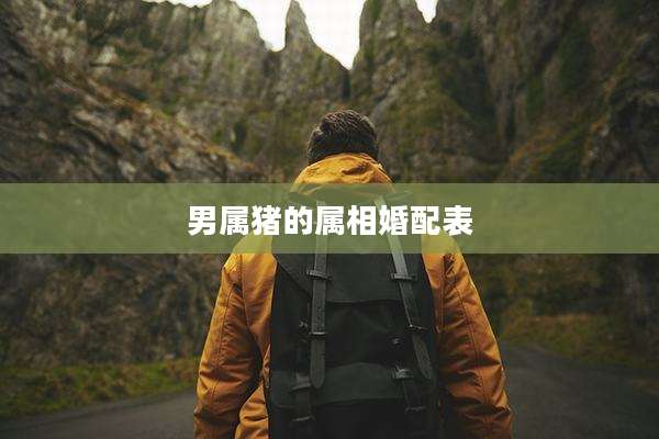 男属猪的属相婚配表