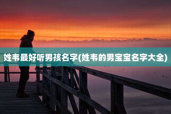 姓韦最好听男孩名字(姓韦的男宝宝名字大全)