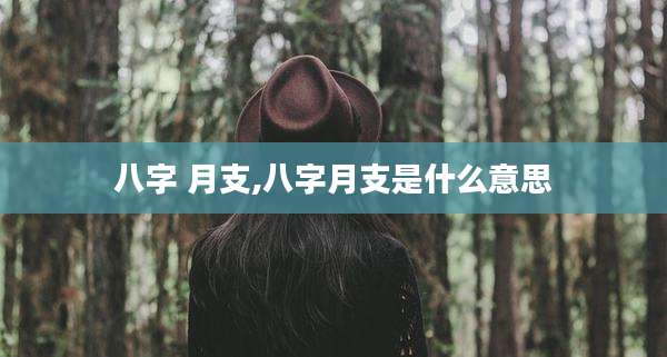 八字 月支,八字月支是什么意思