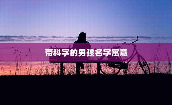 带科字的男孩名字寓意