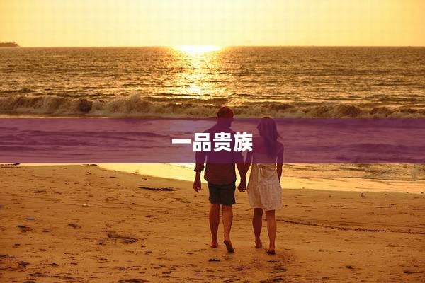 一品贵族