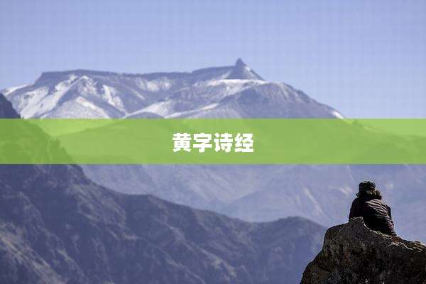 黄字诗经