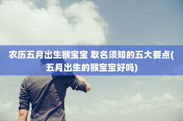 农历五月出生猴宝宝 取名须知的五大要点(五月出生的猴宝宝好吗)
