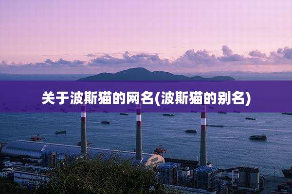 关于波斯猫的网名(波斯猫的别名)