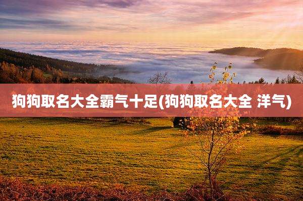 狗狗取名大全霸气十足(狗狗取名大全 洋气)