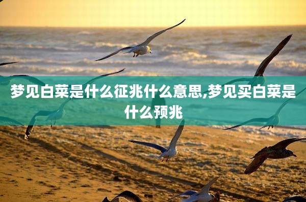梦见白菜是什么征兆什么意思,梦见买白菜是什么预兆