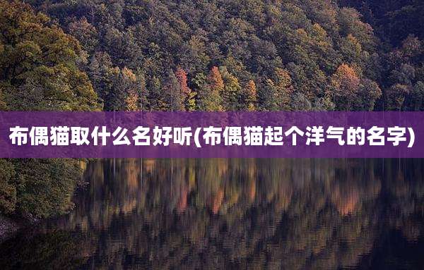 布偶猫取什么名好听(布偶猫起个洋气的名字)