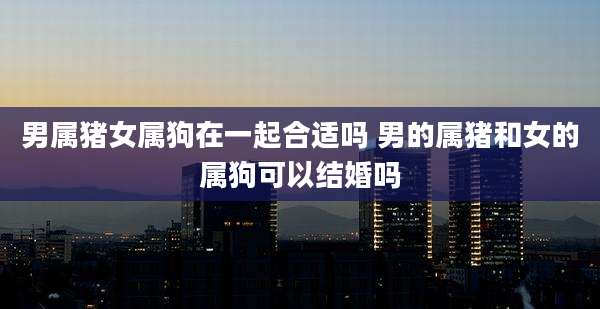 男属猪女属狗在一起合适吗 男的属猪和女的属狗可以结婚吗