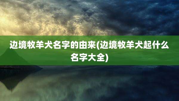 边境牧羊犬名字的由来(边境牧羊犬起什么名字大全)