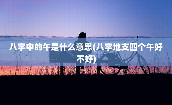 八字中的午是什么意思(八字地支四个午好不好)