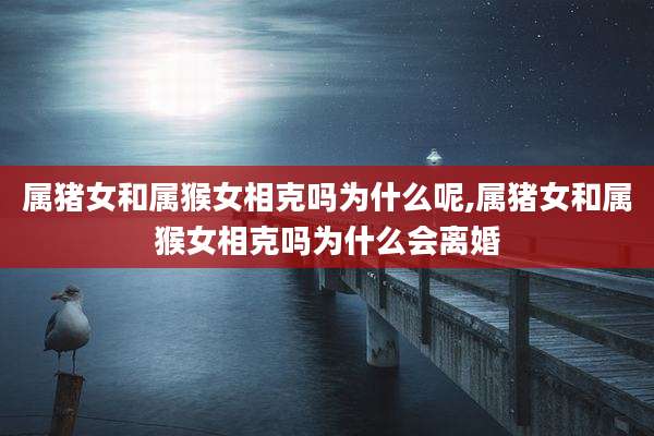 属猪女和属猴女相克吗为什么呢,属猪女和属猴女相克吗为什么会离婚