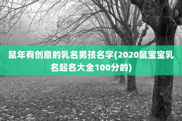 鼠年有创意的乳名男孩名字(2020鼠宝宝乳名起名大全100分的)