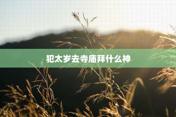 犯太岁去寺庙拜什么神