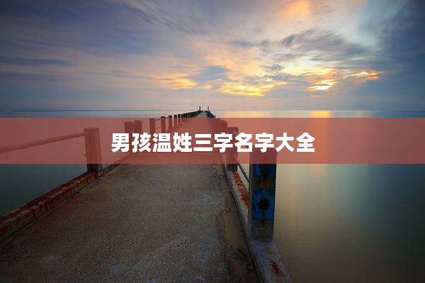 男孩温姓三字名字大全