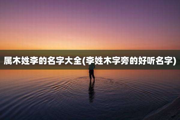 属木姓李的名字大全(李姓木字旁的好听名字)