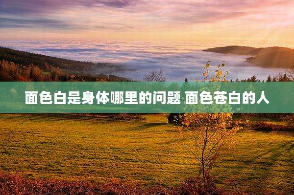 面色白是身体哪里的问题 面色苍白的人