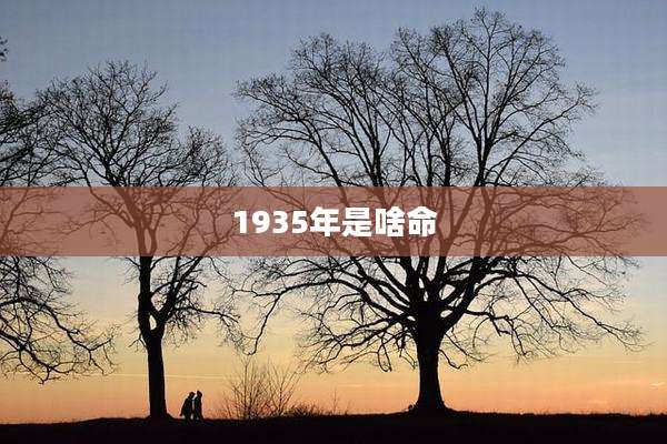 1935年是啥命