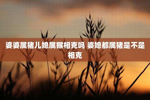 婆婆属猪儿媳属猴相克吗 婆媳都属猪是不是相克