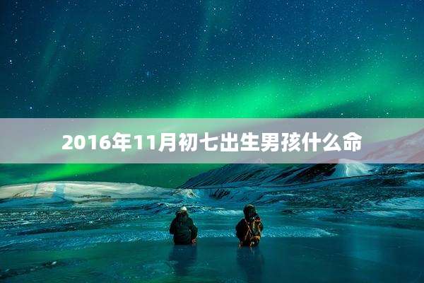 2016年11月初七出生男孩什么命