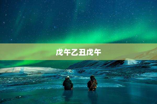 戊午乙丑戊午