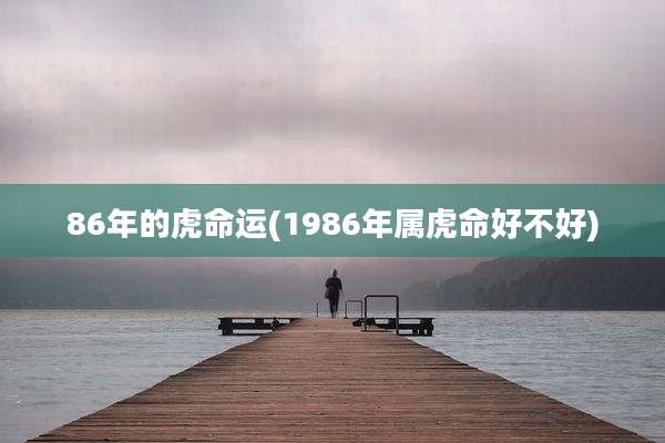 86年的虎命运(1986年属虎命好不好)
