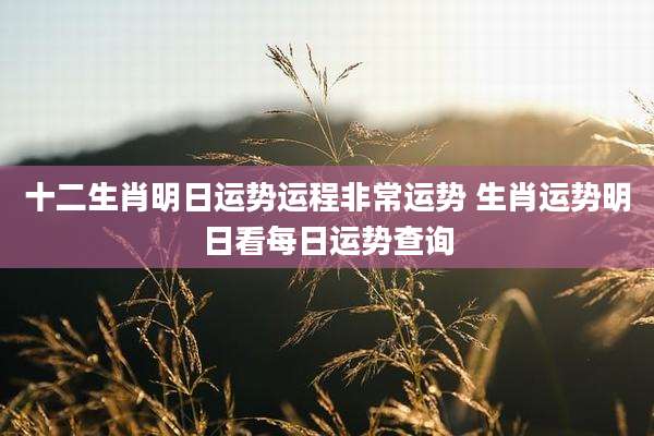 十二生肖明日运势运程非常运势 生肖运势明日看每日运势查询
