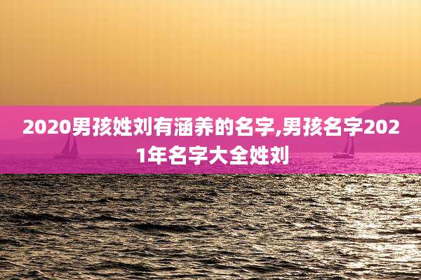 2020男孩姓刘有涵养的名字,男孩名字2021年名字大全姓刘