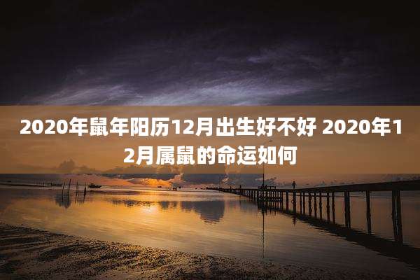 2020年鼠年阳历12月出生好不好 2020年12月属鼠的命运如何
