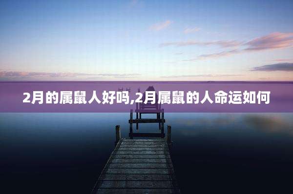 2月的属鼠人好吗,2月属鼠的人命运如何