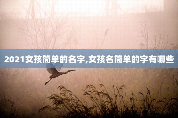 2021女孩简单的名字,女孩名简单的字有哪些