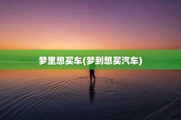 梦里想买车(梦到想买汽车)