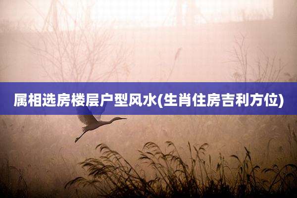 属相选房楼层户型风水(生肖住房吉利方位)