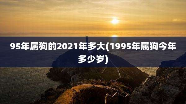 95年属狗的2021年多大(1995年属狗今年多少岁)