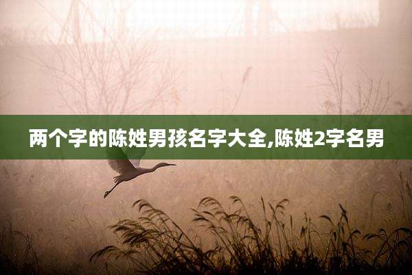 两个字的陈姓男孩名字大全,陈姓2字名男