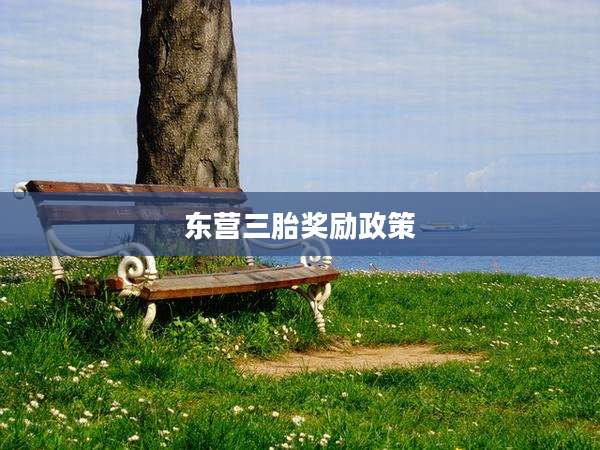 东营三胎奖励政策