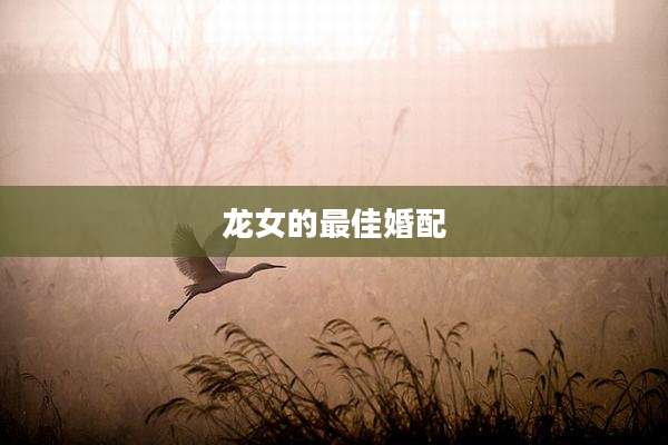龙女的最佳婚配