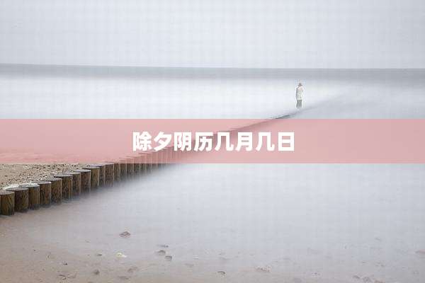 除夕阴历几月几日