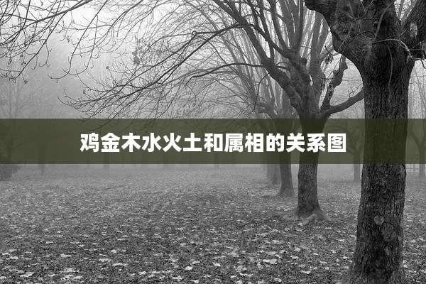 鸡金木水火土和属相的关系图