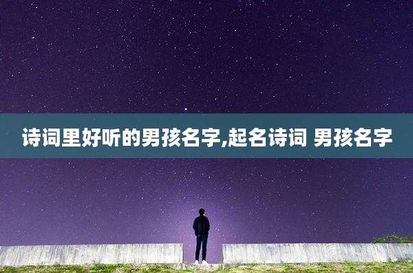 诗词里好听的男孩名字,起名诗词 男孩名字