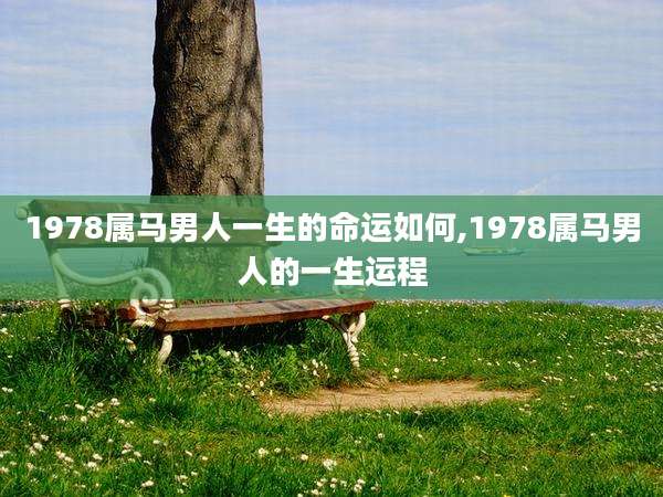 1978属马男人一生的命运如何,1978属马男人的一生运程