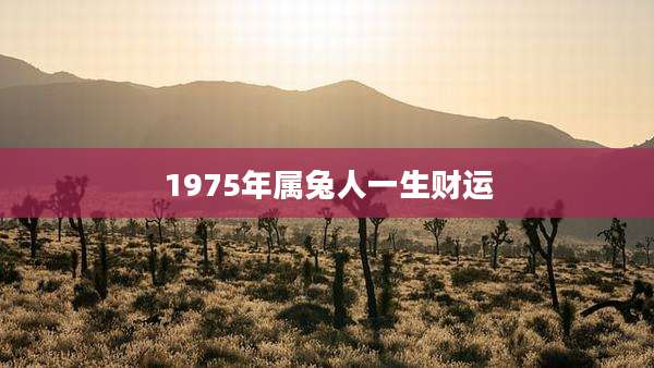 1975年属兔人一生财运