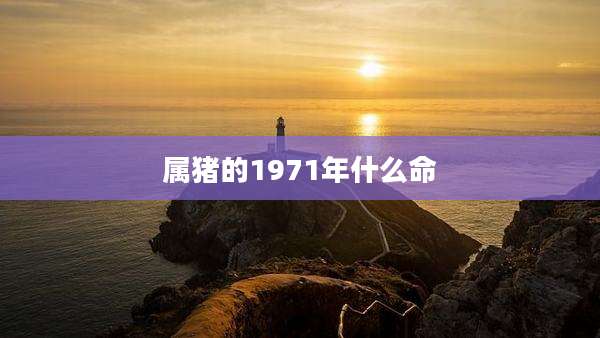 属猪的1971年什么命