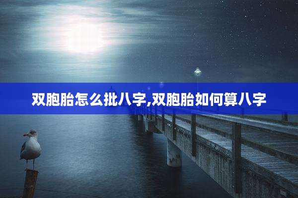 双胞胎怎么批八字,双胞胎如何算八字