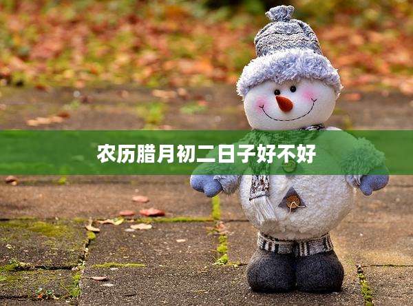 农历腊月初二日子好不好