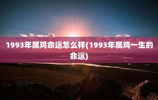 1993年属鸡命运怎么样(1993年属鸡一生的命运)