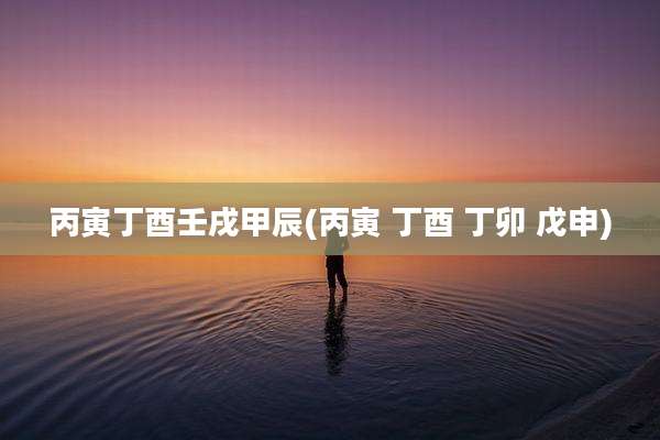 丙寅丁酉壬戌甲辰(丙寅 丁酉 丁卯 戊申)