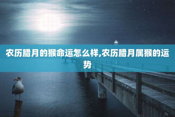 农历腊月的猴命运怎么样,农历腊月属猴的运势