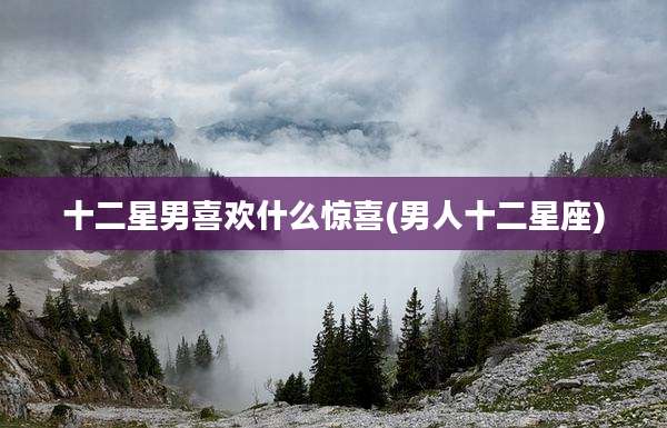 十二星男喜欢什么惊喜(男人十二星座)