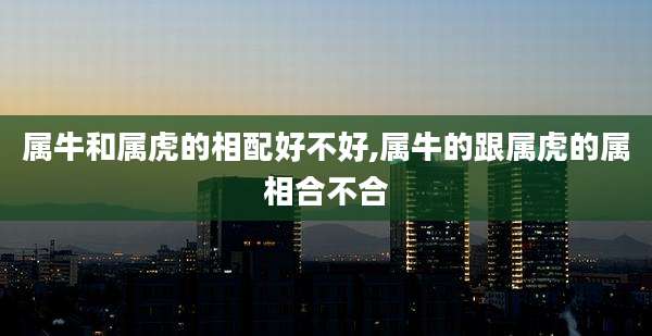 属牛和属虎的相配好不好,属牛的跟属虎的属相合不合