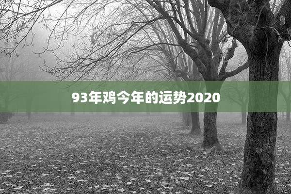 93年鸡今年的运势2020